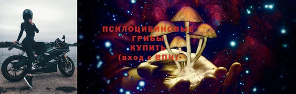 2c-b Беломорск