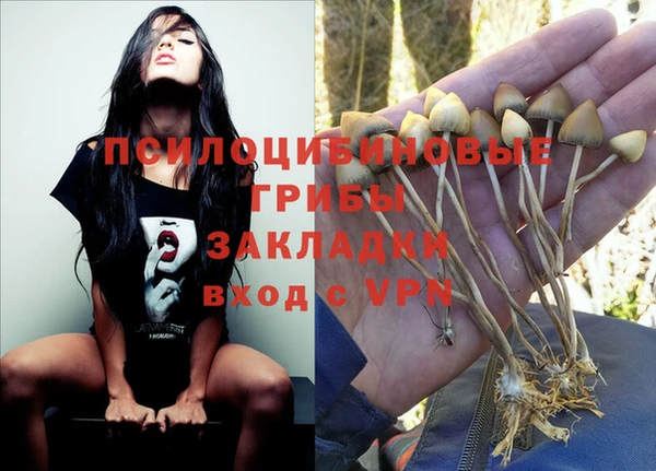 дурь Белоозёрский